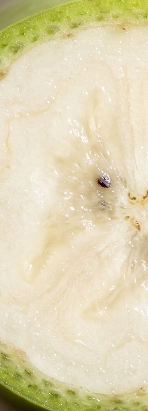 Triple-Action Prebiotics ·
